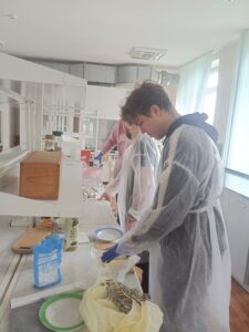 IMG_20251120_105142
