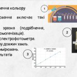 Спектро 3